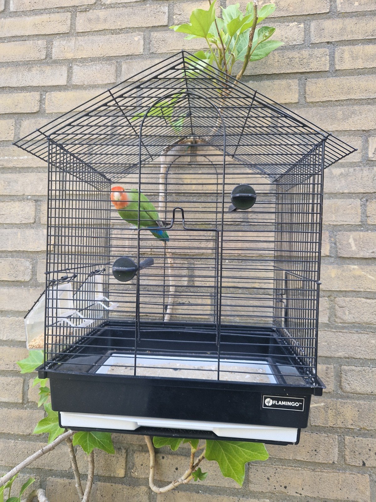 vogelkooi kanarie  grasparkiet agapornis kooi volière, Dieren en Toebehoren, Ophalen of Verzenden, Nieuw, Metaal, Vogelkooi