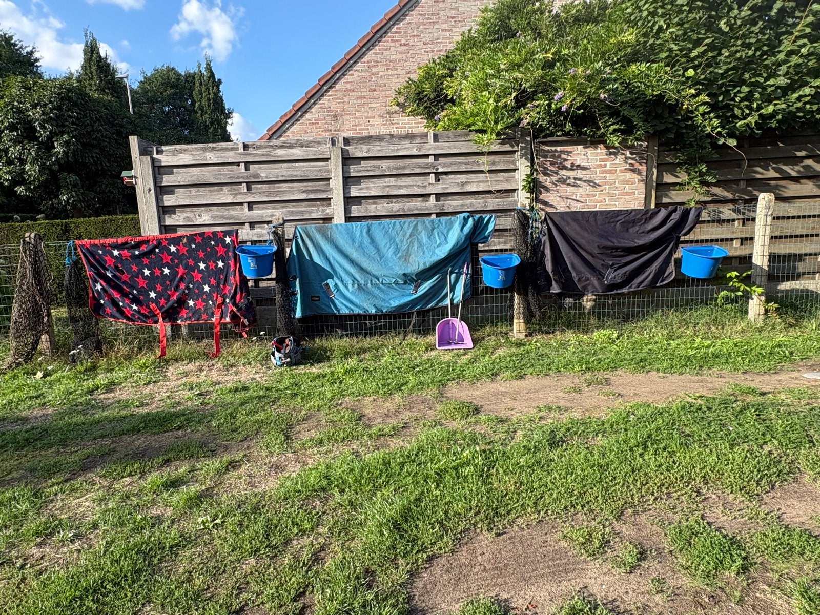 Paarden spullen, Ophalen of Verzenden, Gebruikt