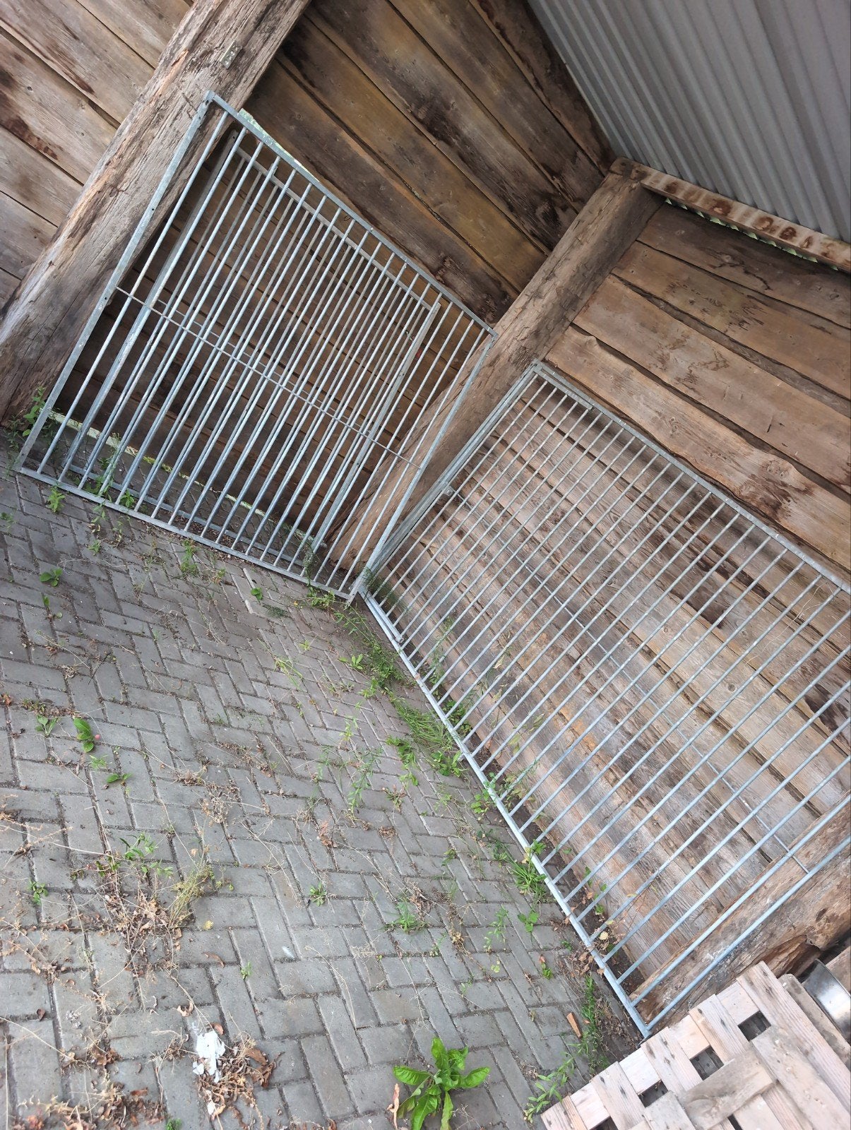 kennel hekken, Ophalen, 110 cm of meer, 100 cm of meer