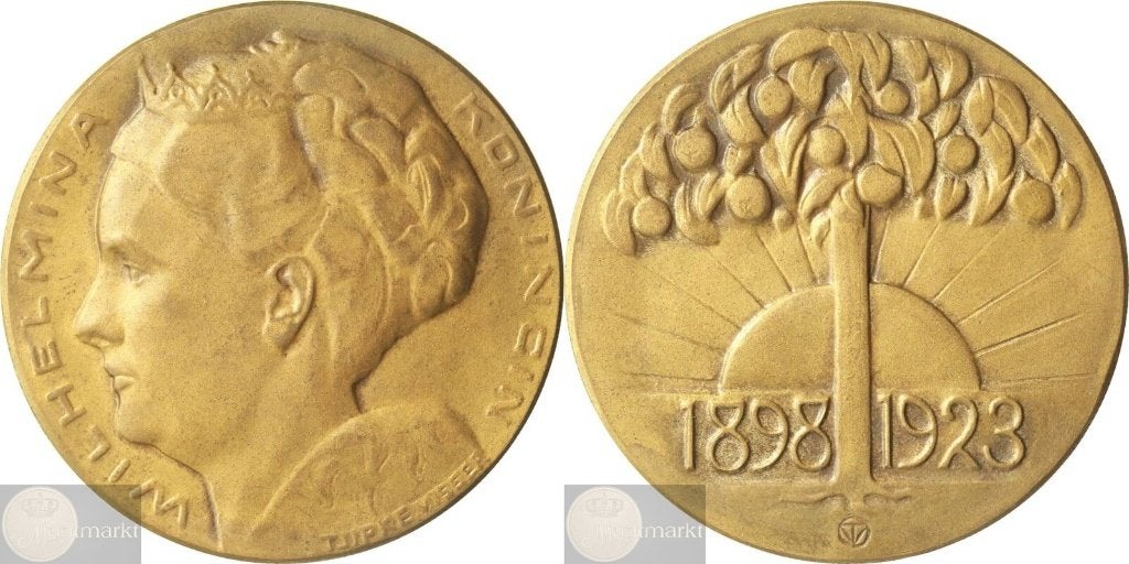 Historiepenning 1923 '25-Jarig Regeringsjubileum Wilhelmina', Ophalen of Verzenden, Brons, Nederland