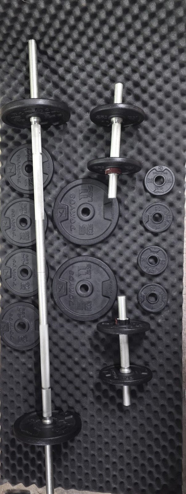 Dumbbell en Halterset met Gewichten - Domyos 2.5kg, 1.25kg, Sport en Fitness, Fitnessmaterialen, Ophalen, Gebruikt, Rug, Dumbbell
