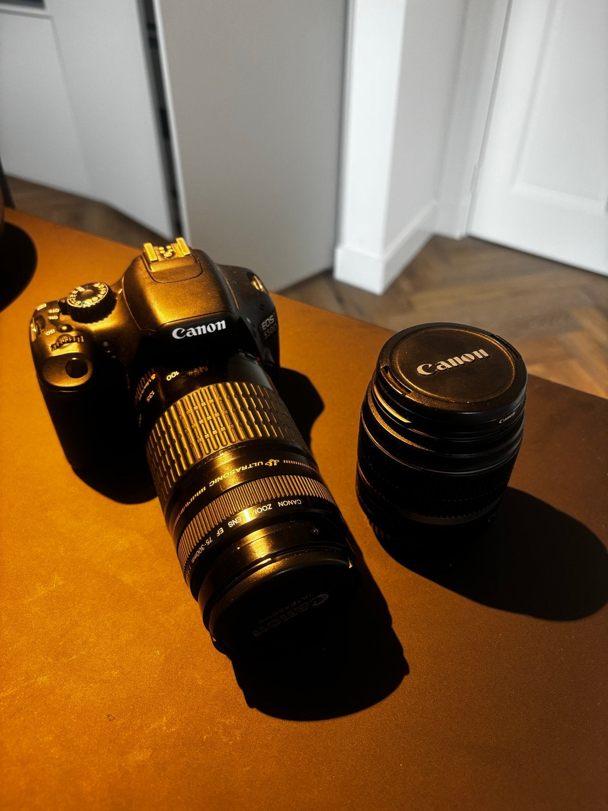 Canon EF 75-300mm f/4-5.6 III USM Telelens, Gebruikt, Canon, Autofocus, Canon EF