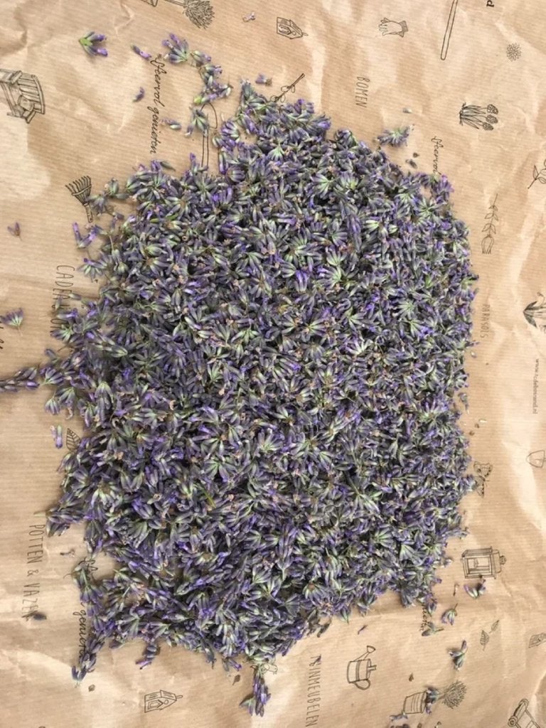 gedroogde lavendelbloemen 50gr, Ophalen of Verzenden, Eenjarig, Overige soorten, Volle zon