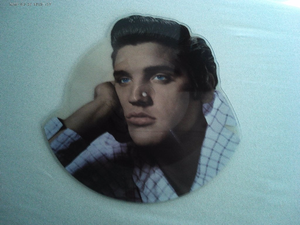 ELVIS PRESLEY, LP, Ophalen of Verzenden, Zo goed als nieuw, 12 inch