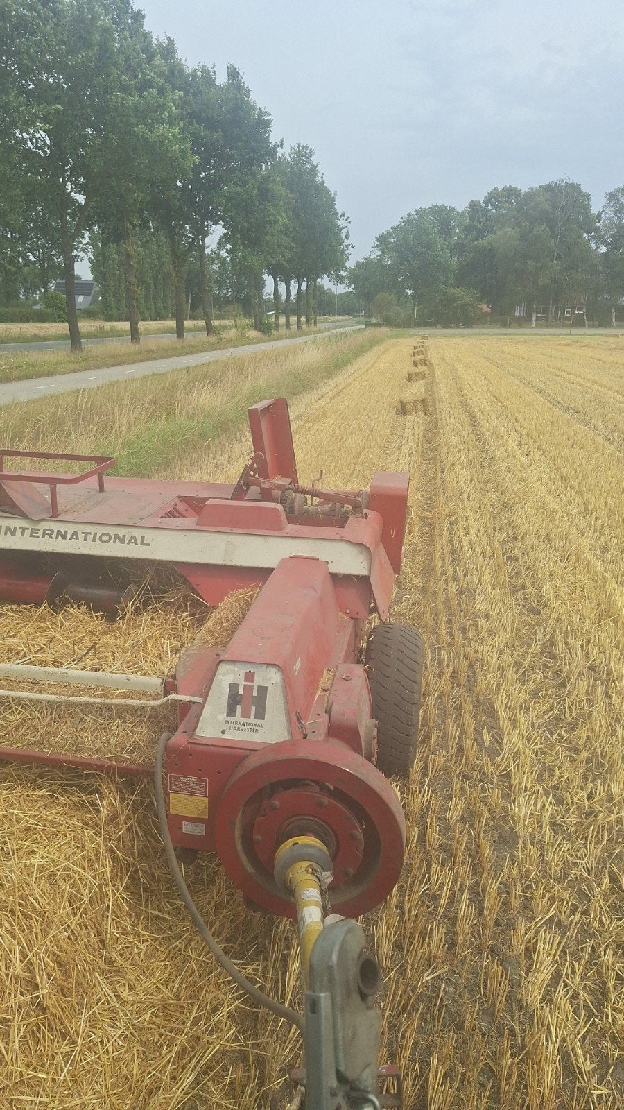 gerste stro  afland stropakjes, Ophalen, Vee