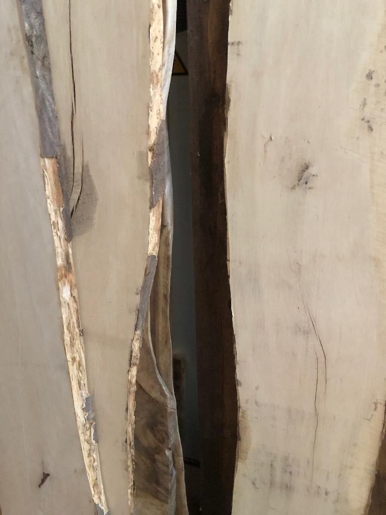 Witte beuk schaaldelen boomplank snijplank wandplanken, Ophalen of Verzenden, Nieuw