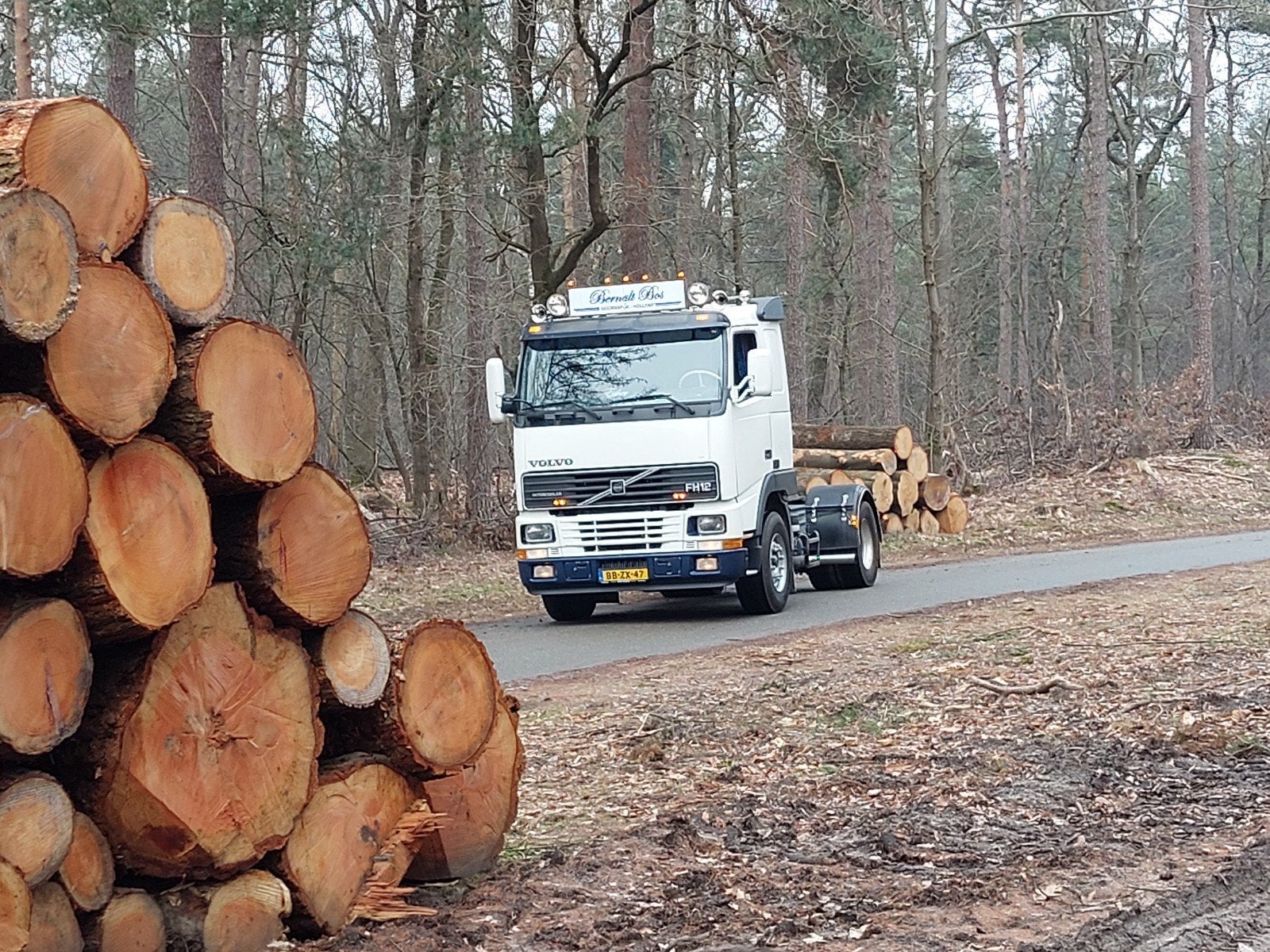 volvo fh12, Tuin en Terras, Haardhout, Minder dan 3 m³, Ophalen