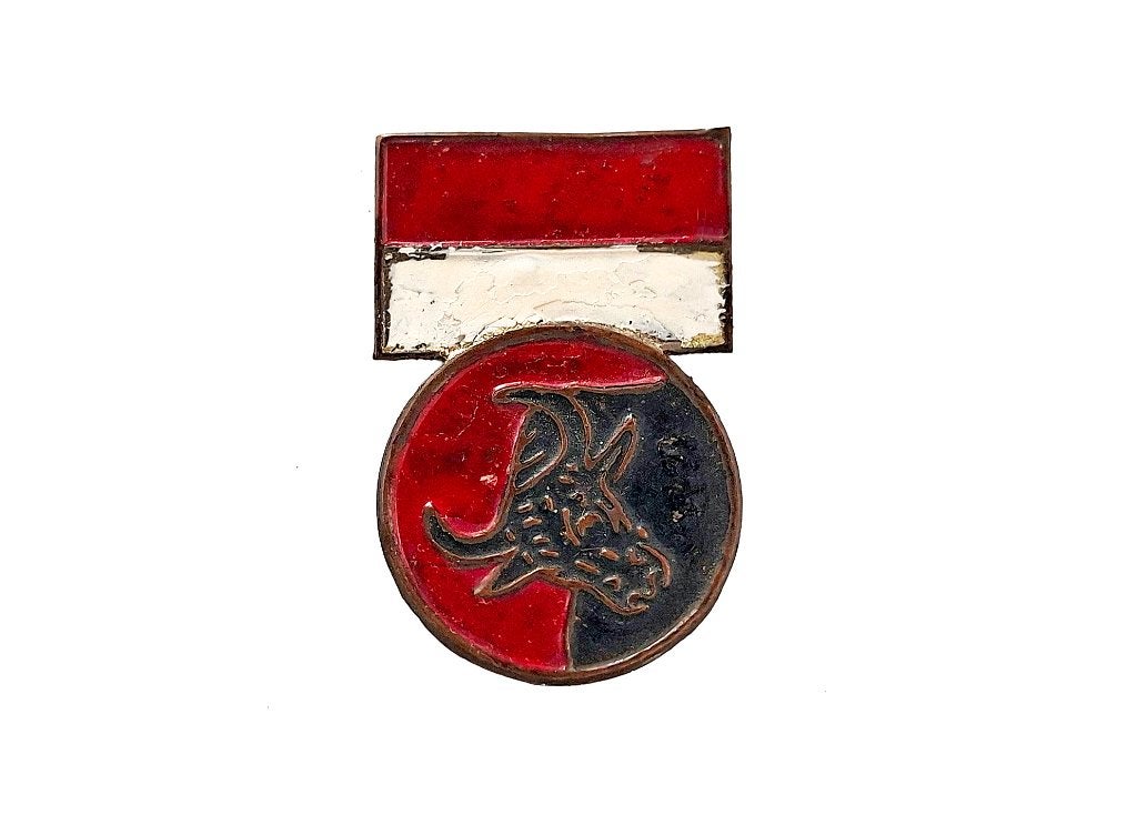 KNIL Indonesië Uniform Medialle Mobilisatie Indië MWO Sabel, Ophalen of Verzenden, Overige soorten, Azië, Embleem of Badge