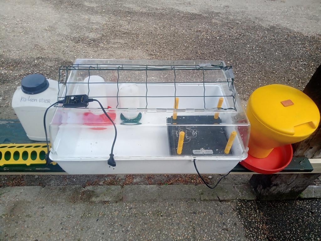 Kuiken opfok set. Voerbakje drinktoren warmteplaat opfokhok, Dieren en Toebehoren, Pluimvee | Toebehoren, Ophalen, Zo goed als nieuw