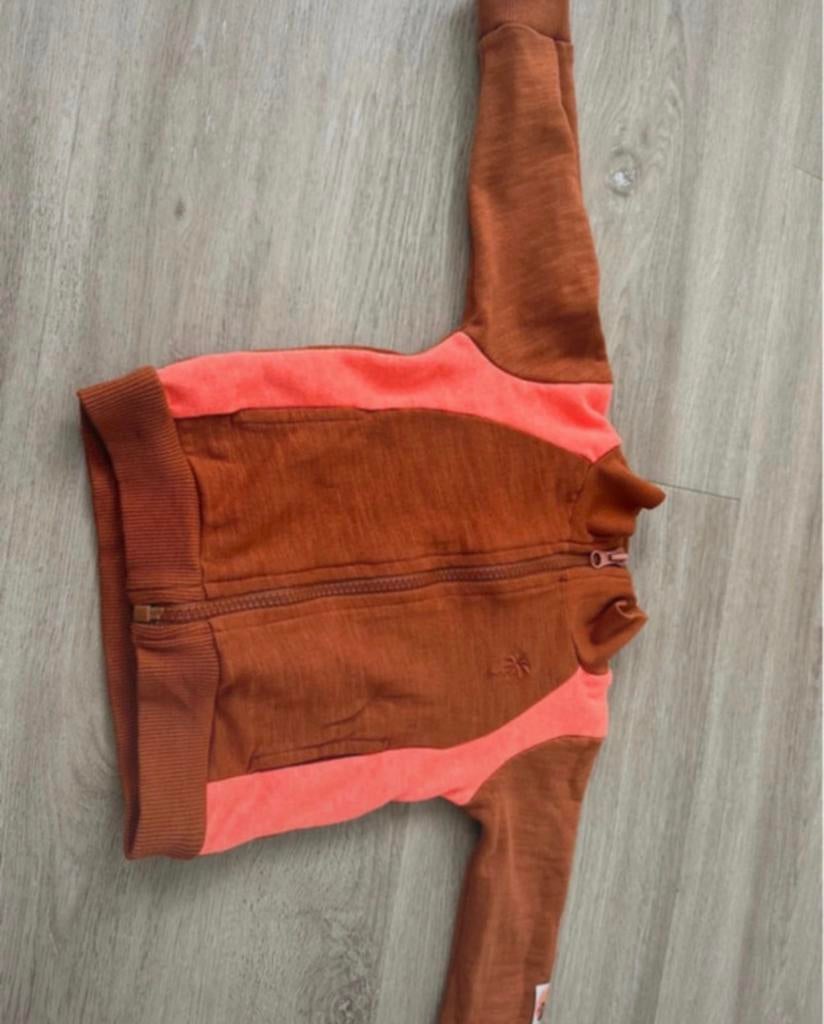Vest Feetje maat 74, Ophalen of Verzenden, Zo goed als nieuw, Jongetje, Truitje of Vestje