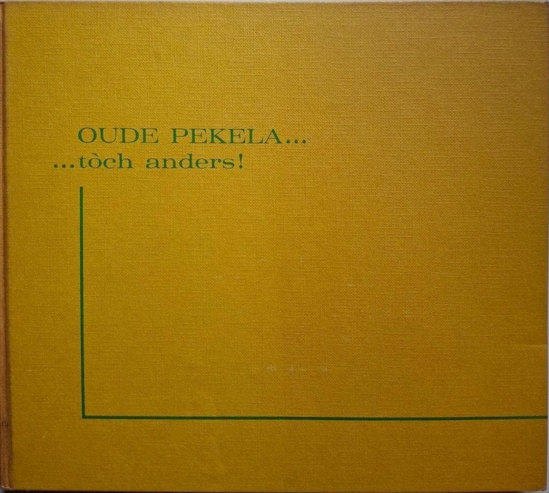 W. H. van de Ploeg - Oude Pekela… …tòch anders!, Boeken, Ophalen of Verzenden, Gelezen, H.van de Ploeg
