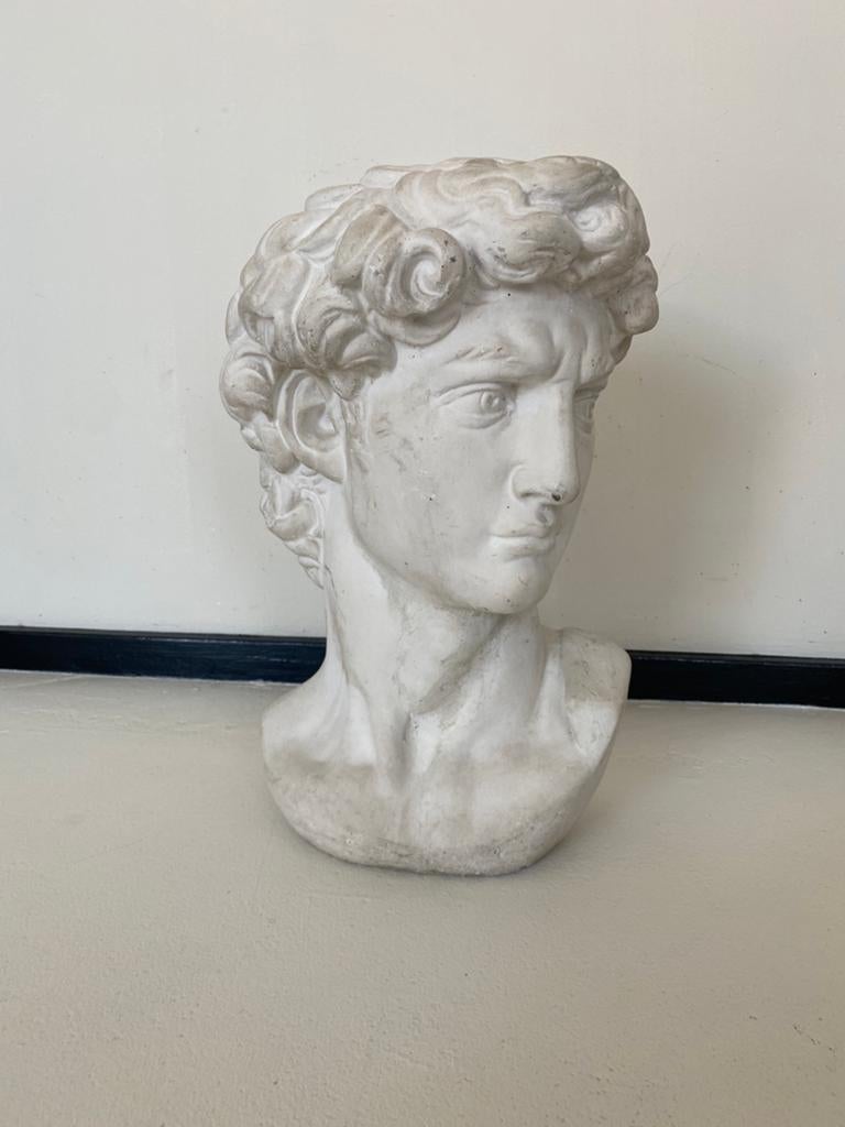 De David van Michelangelo buste, Ophalen