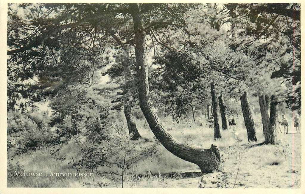 379-238-039 Veluwe, Ophalen of Verzenden, Voor 1920, Gelderland