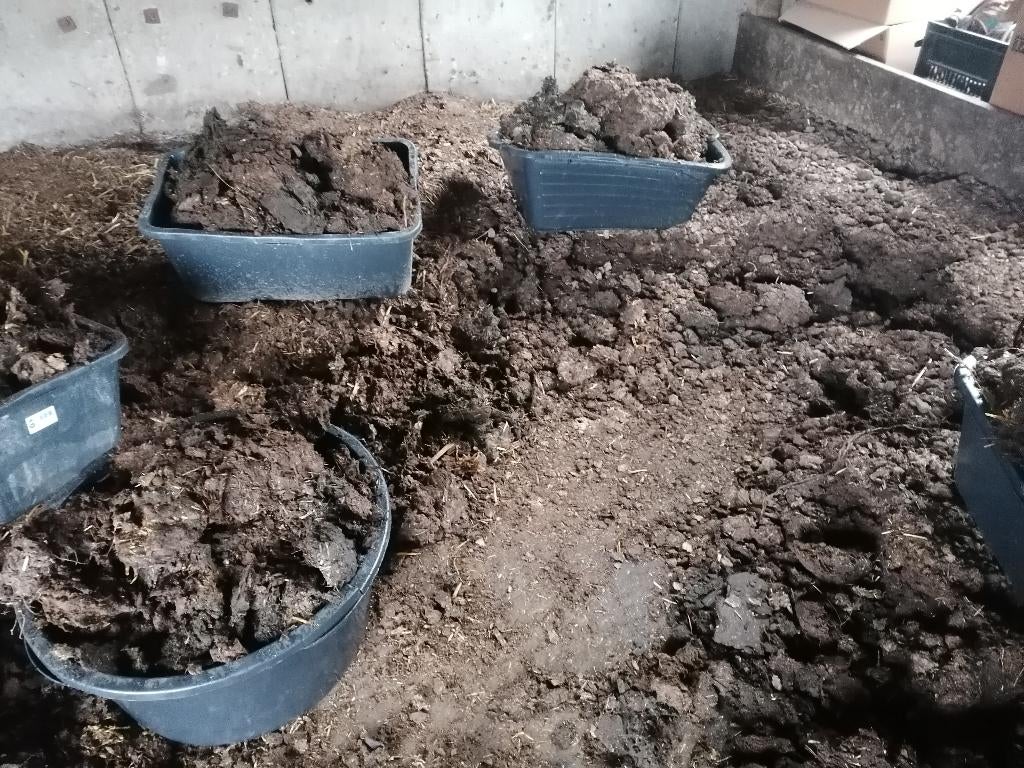 oude stalmest voor moestuin, Tuin en Terras, Aarde en Mest, Ophalen of Verzenden, Tuinaarde