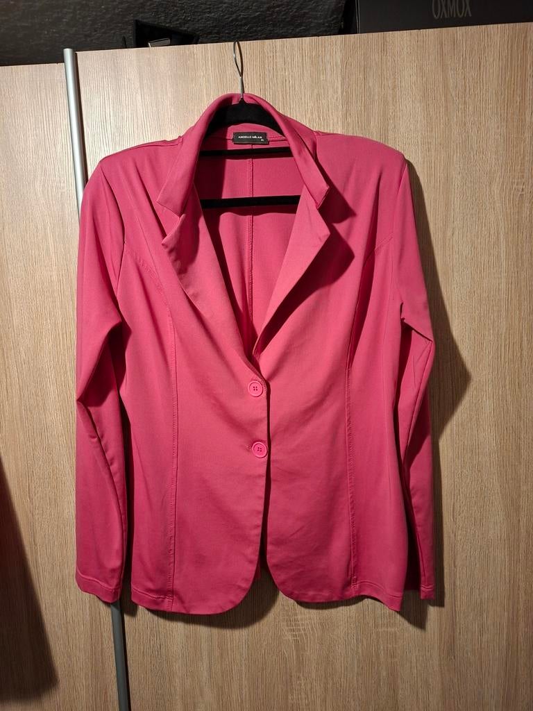 Angelle Milan, Ophalen of Verzenden, Zo goed als nieuw, Maat 46/48 (XL) of groter, Roze