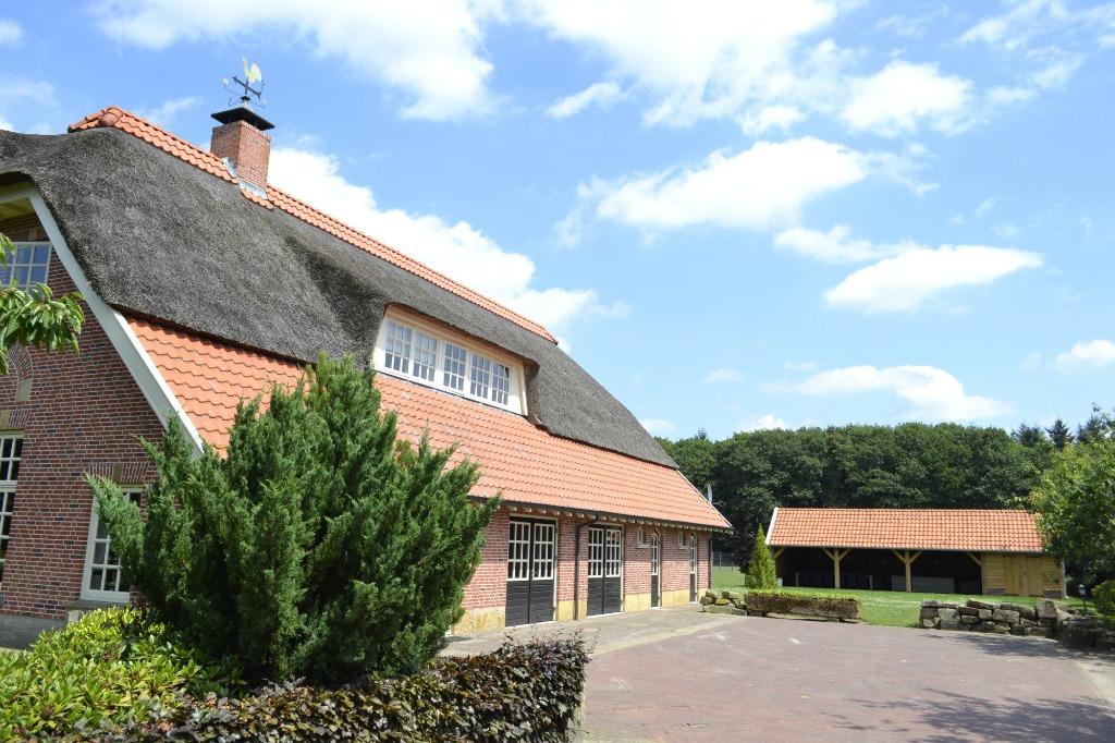 Vakantiehuis Twente, voor 16 personen, Hot-tub, bbq, sauna., Groepsaccommodatie, In bos, 16 personen, Overijssel