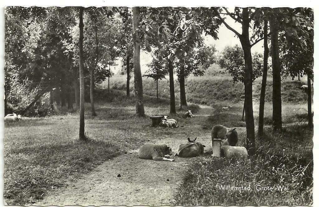 AK Willemstad - Grote Wal, Verzenden, 1960 tot 1980, Gelopen, Noord-Brabant