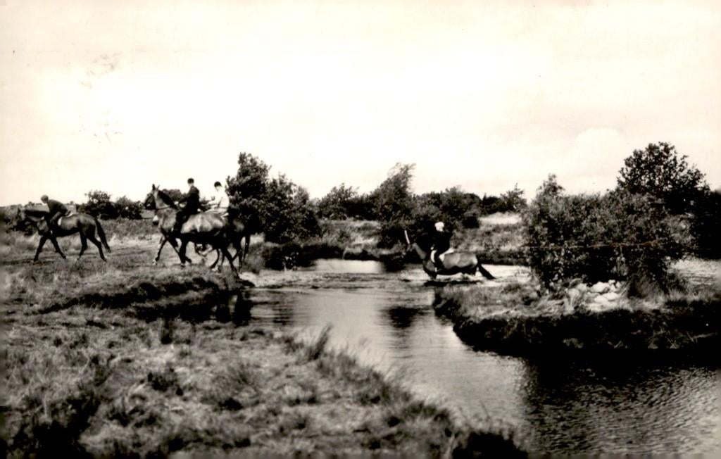 Gasselte Ontspanningscentrum De Hoefslag  # 101, Ophalen of Verzenden, 1960 tot 1980, Gelopen, Drenthe