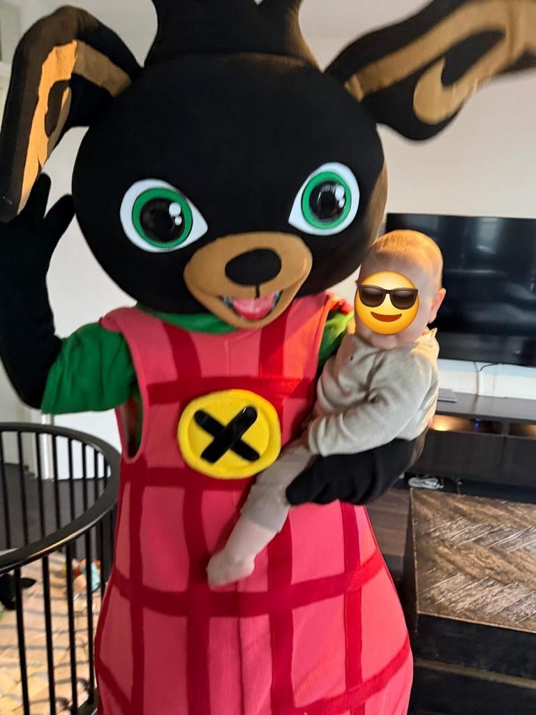Bing mascotte te huur, Hobby en Vrije tijd, Feestartikelen | Verhuur, Ophalen of Verzenden, Zo goed als nieuw, Overige