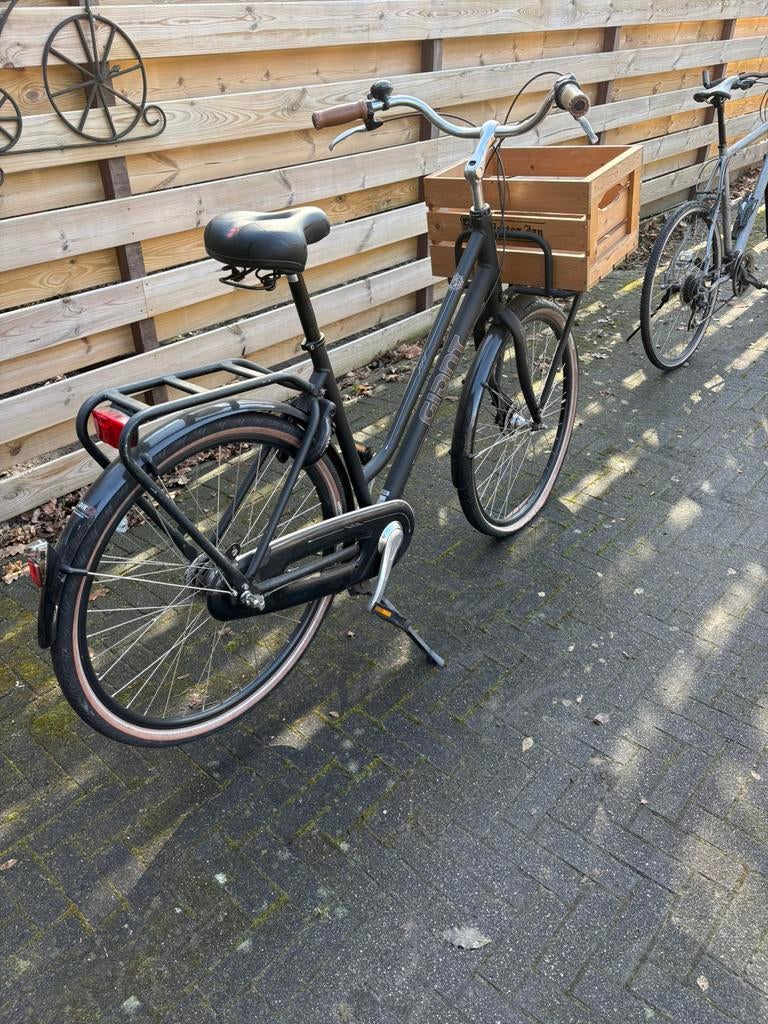 Gigant stads fiets met versnelling., Gebruikt, Versnellingen, 53 tot 57 cm, Giant