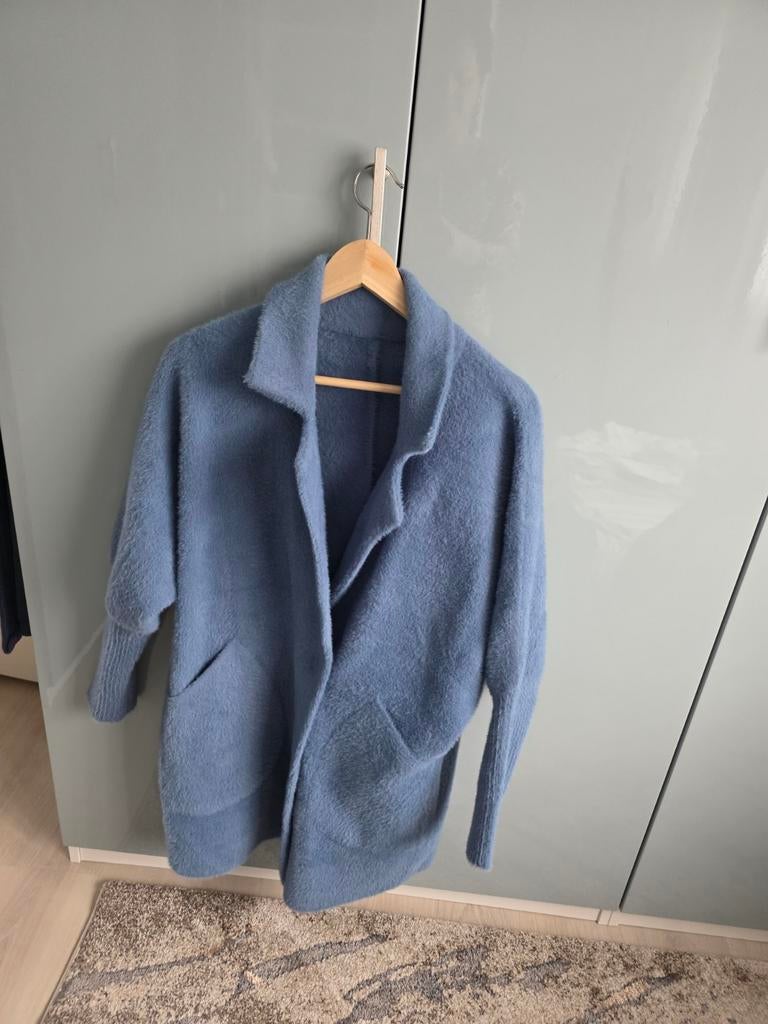 Stijlvolle dames lente overjas, Maat 38/40 (M), Blauw, Ophalen of Verzenden, Onbekend