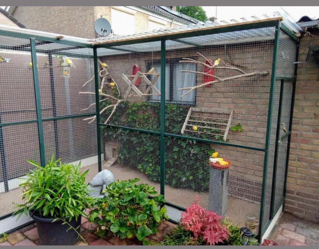 Mooi aluminium volière groen, Dieren en Toebehoren, Vogels | Hokken en Kooien, Ophalen, Aluminium, Volière