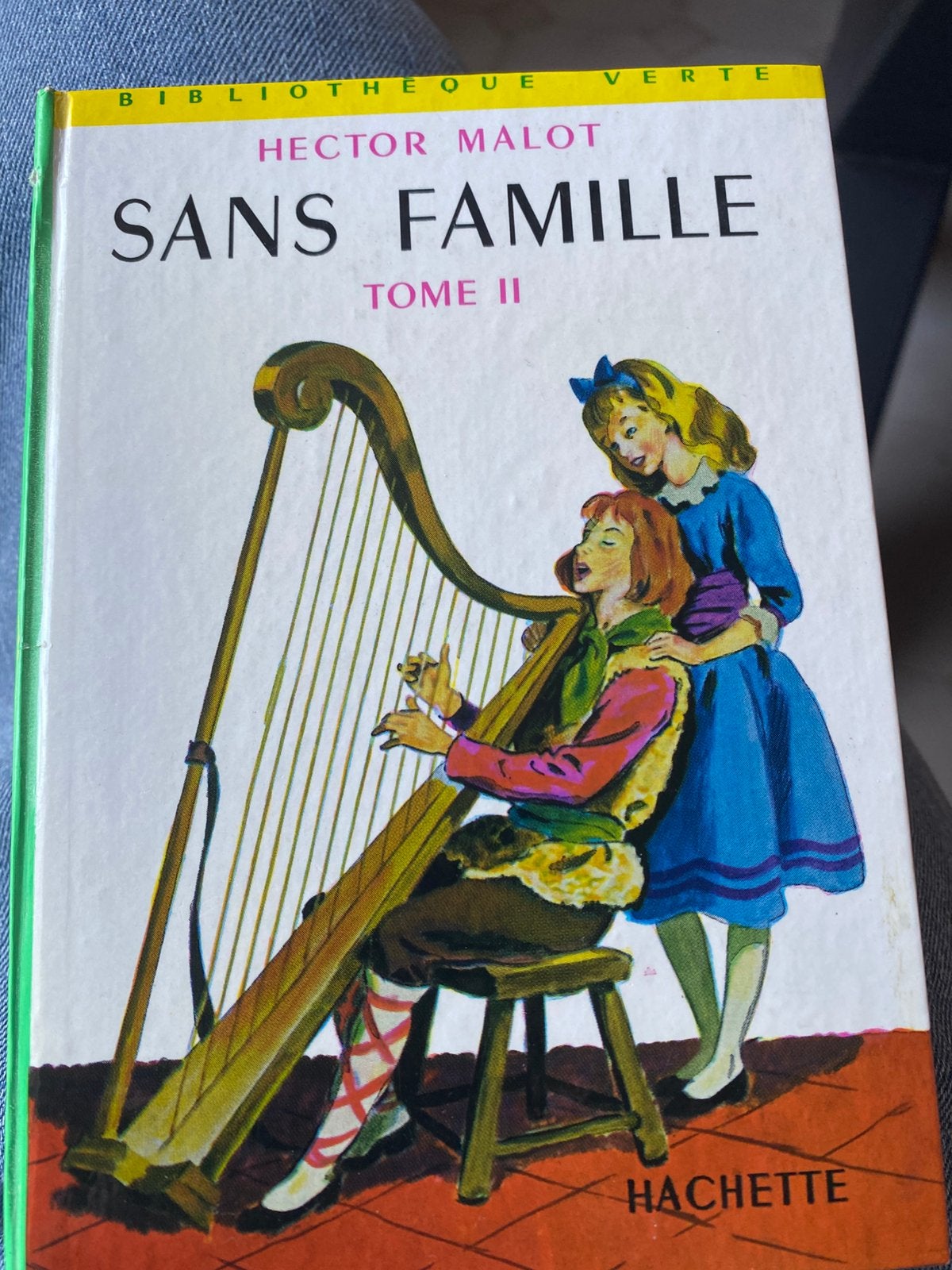 Sans famille - alleen op de wereld, Ophalen of Verzenden, Zo goed als nieuw