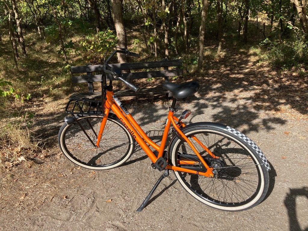 Gazelle Grand Prix Zandvoort fiets, Fietsen en Brommers, Fietsen | Dames | Damesfietsen, Ophalen, Terugtraprem, 53 tot 56 cm, Zo goed als nieuw