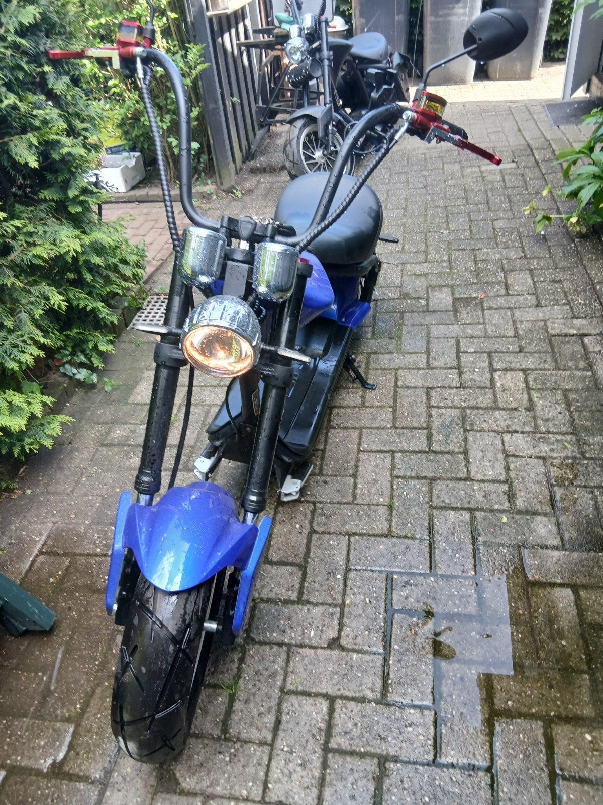 Mangosteen 2x, Ophalen of Verzenden, Zo goed als nieuw, Overige modellen