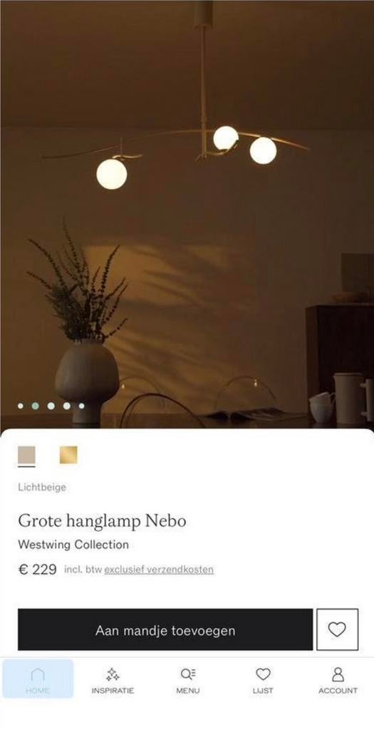Mooie hanglamp Nebo van Westwing, Albert Heijn, Ophalen