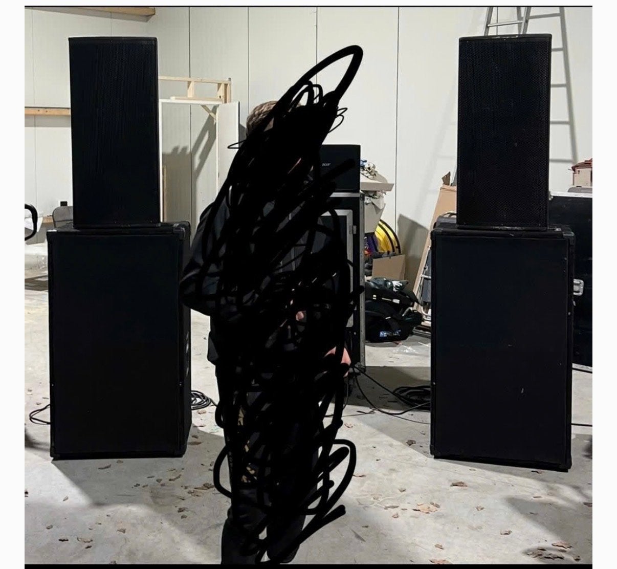Muziekinstelatie met subs van dynacord bieden!, Audio, Tv en Foto, Luidsprekers, Overige merken, Gebruikt, Ophalen of Verzenden
