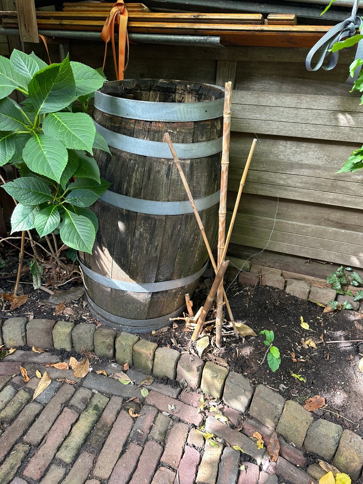 wijnvat (ringen ), 150 liter of meer, Ophalen, Gebruikt, Hout