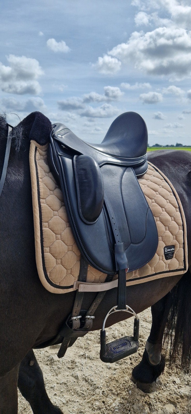RS Athena Pro, Dieren en Toebehoren, Paarden en Pony's | Zadels, Ophalen, Dressuur