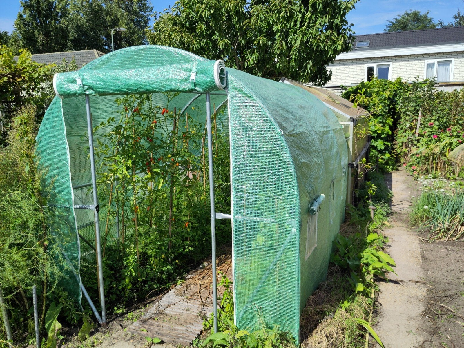 Kas voor de moestuin kweekkas tuinkas Royal Well, Folie, Kweekkas, Zo goed als nieuw, Ophalen