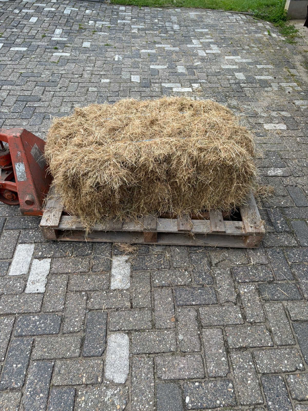 Te koop Hooi 1e snee, Dieren en Toebehoren, Dierenvoeding, Ophalen, Vee