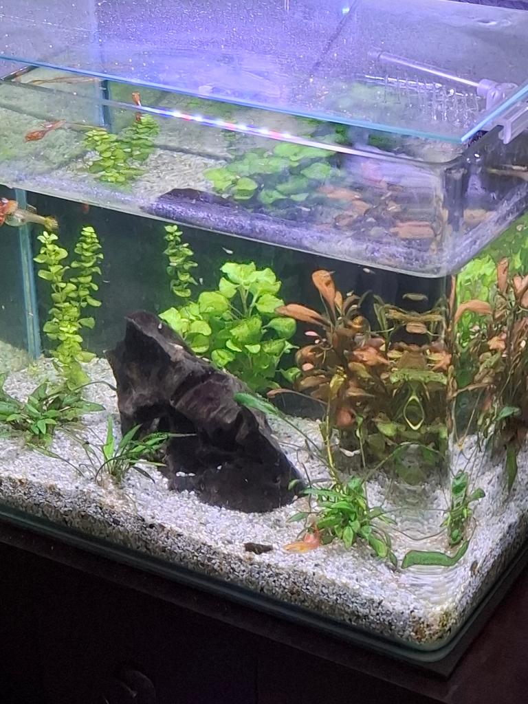 mooi design aquarium 30 liter, Dieren en Toebehoren, Ophalen, Zo goed als nieuw, Leeg aquarium
