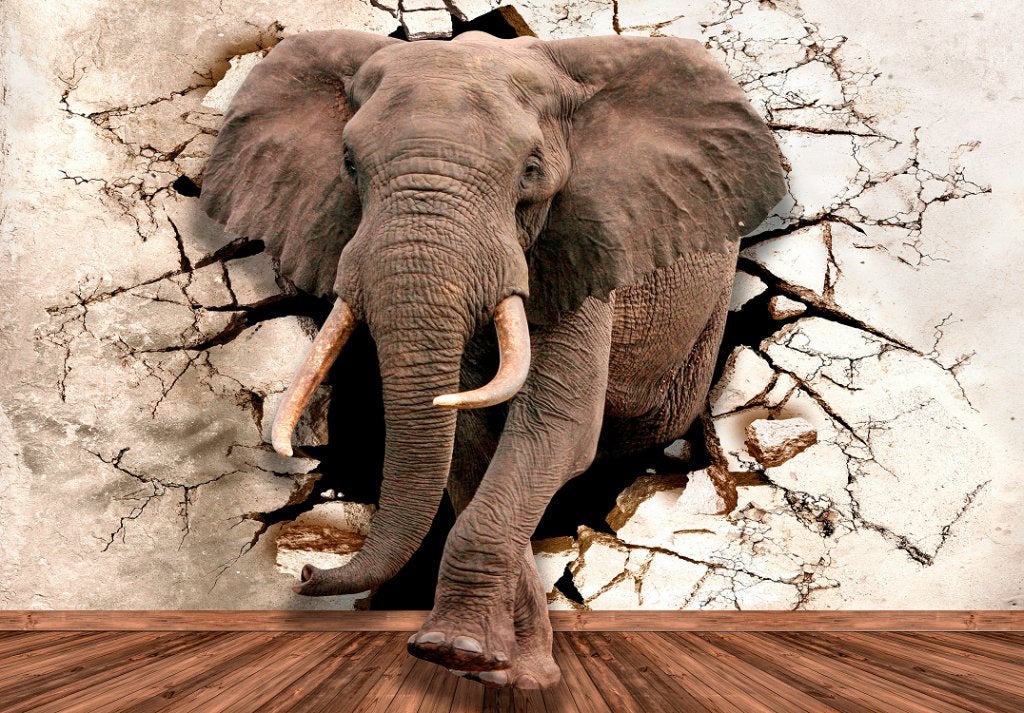 Olifant door de muur fotobehang, 3D vlies behang ook op maat, Verzenden, Fotobehang