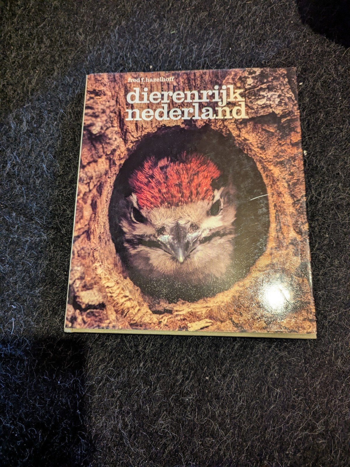 Dierenrijk Nederland - Fred F. Hazelhoff, Ophalen of Verzenden, Gelezen, Natuur algemeen, Fred F. Hazelhoff