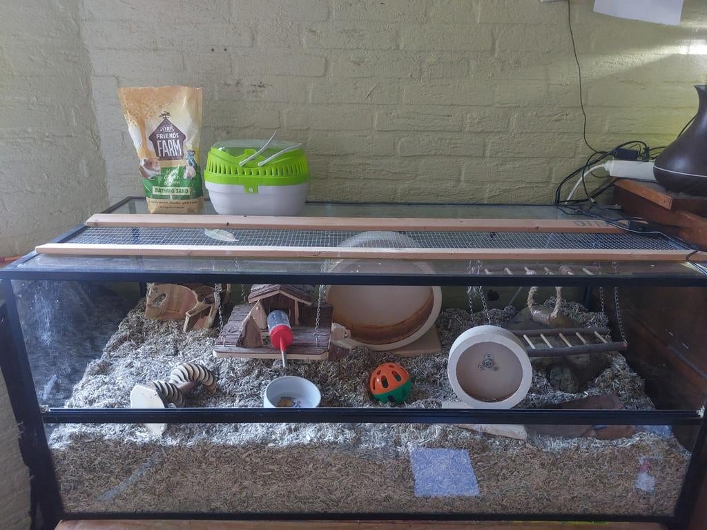 Leuk en groot gerbil (hamster) hok!, Dieren en Toebehoren, Knaagdieren en Konijnen | Hokken en Kooien, 110 cm of meer, Zo goed als nieuw