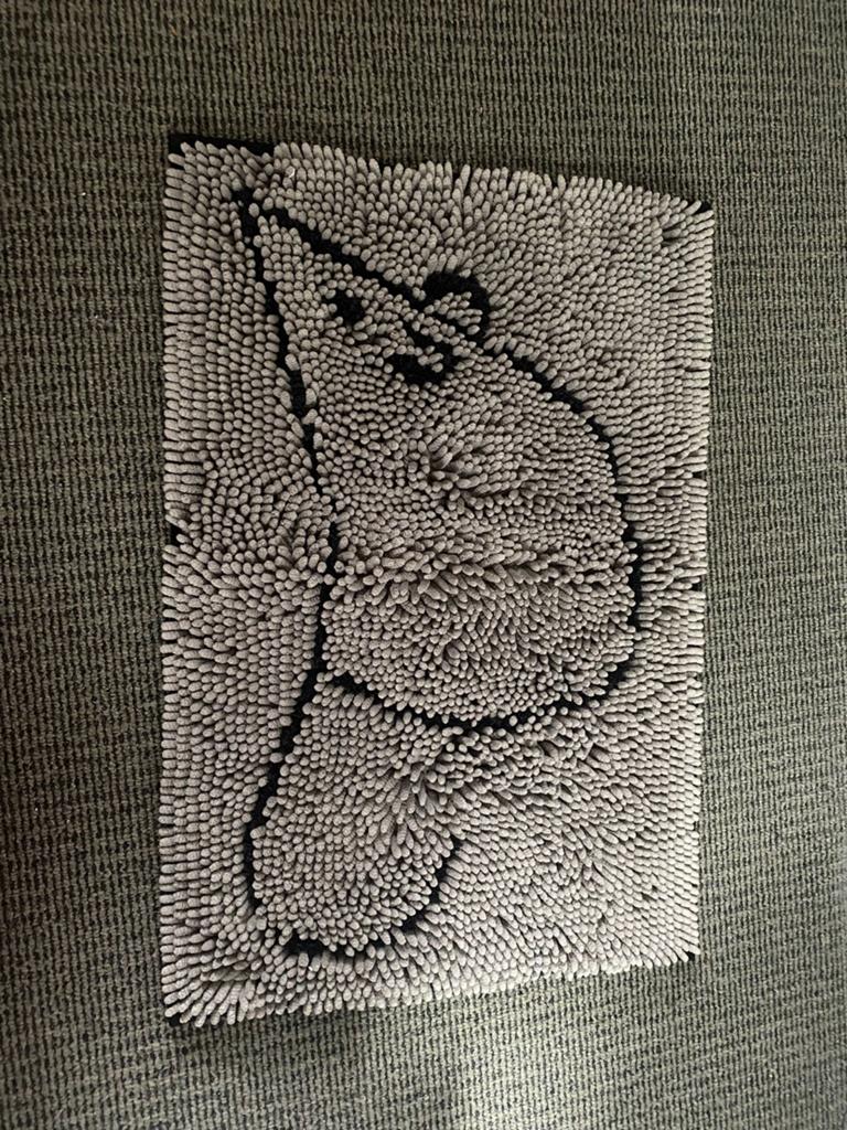Katten kleedje, Dieren en Toebehoren, Ophalen, Gebruikt, Pluche