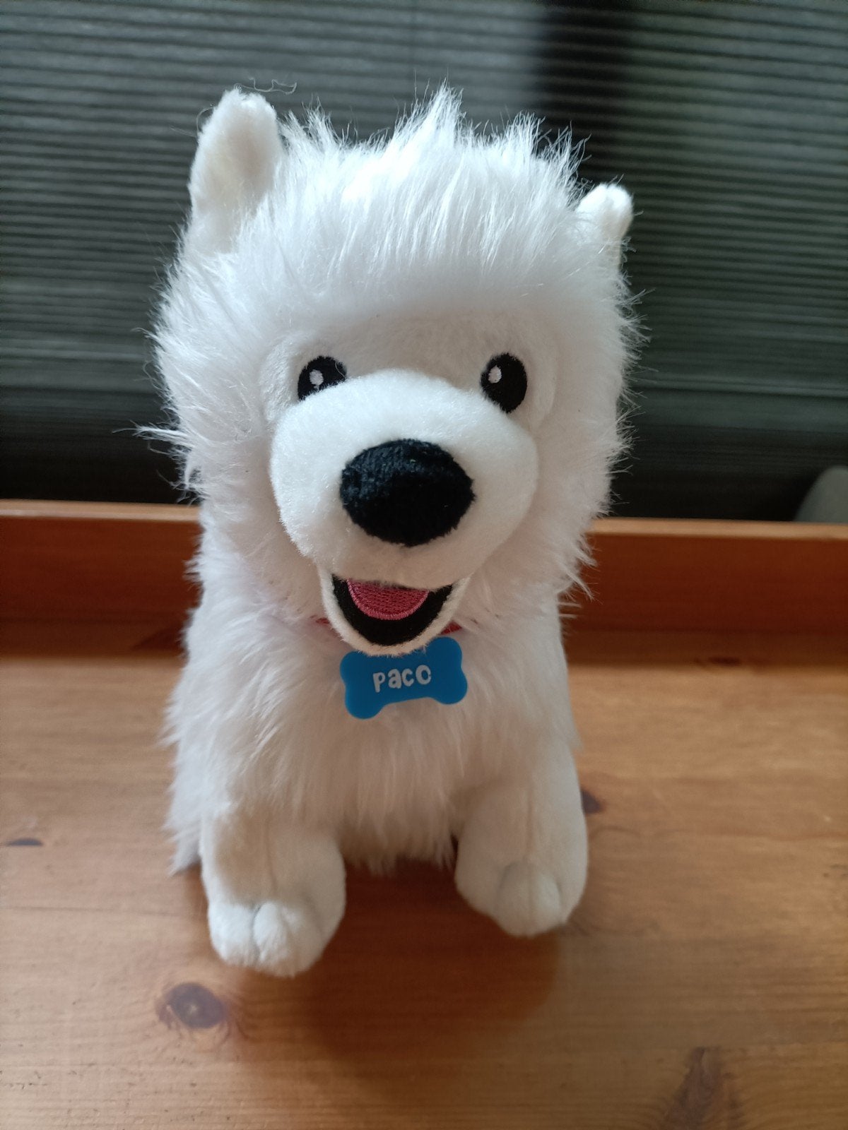Paco knuffel Rutger, Thomas & Paco + Tina met leuk verhaal, Kinderen en Baby's, Speelgoed | Knuffels en Pluche, Ophalen of Verzenden