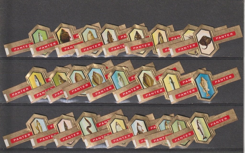 reeks 38  vissen    1-24   sigarenbanden, Ophalen of Verzenden, Zo goed als nieuw, Sigarenbandjes
