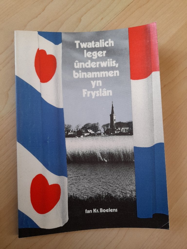 TWATALICH LEGER UNDERIIS BINAMMEN YN FRYSLAN Kr Boelens, Ophalen of Verzenden, Gelezen