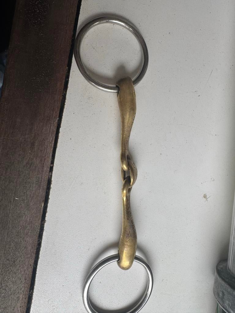 Neue Schule is een Turtle Top bit 11,5, Dieren en Toebehoren, Ophalen of Verzenden, Gebruikt