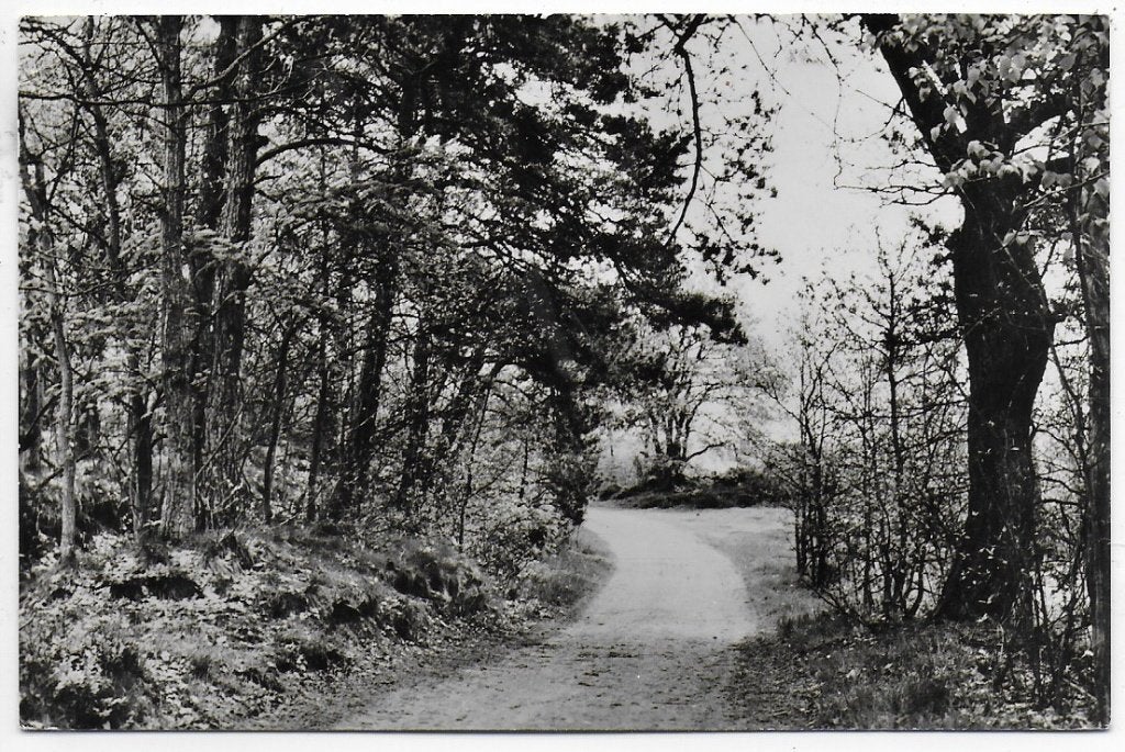 Havelte Centrum De Overkant gelopen oude ansichtkaart A2433, Verzamelen, Ansichtkaarten | Nederland, Ophalen of Verzenden, 1960 tot 1980