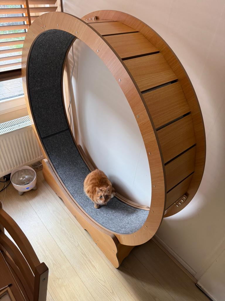Kattenwiel Looprad Groot 120cm, Ophalen, Zo goed als nieuw