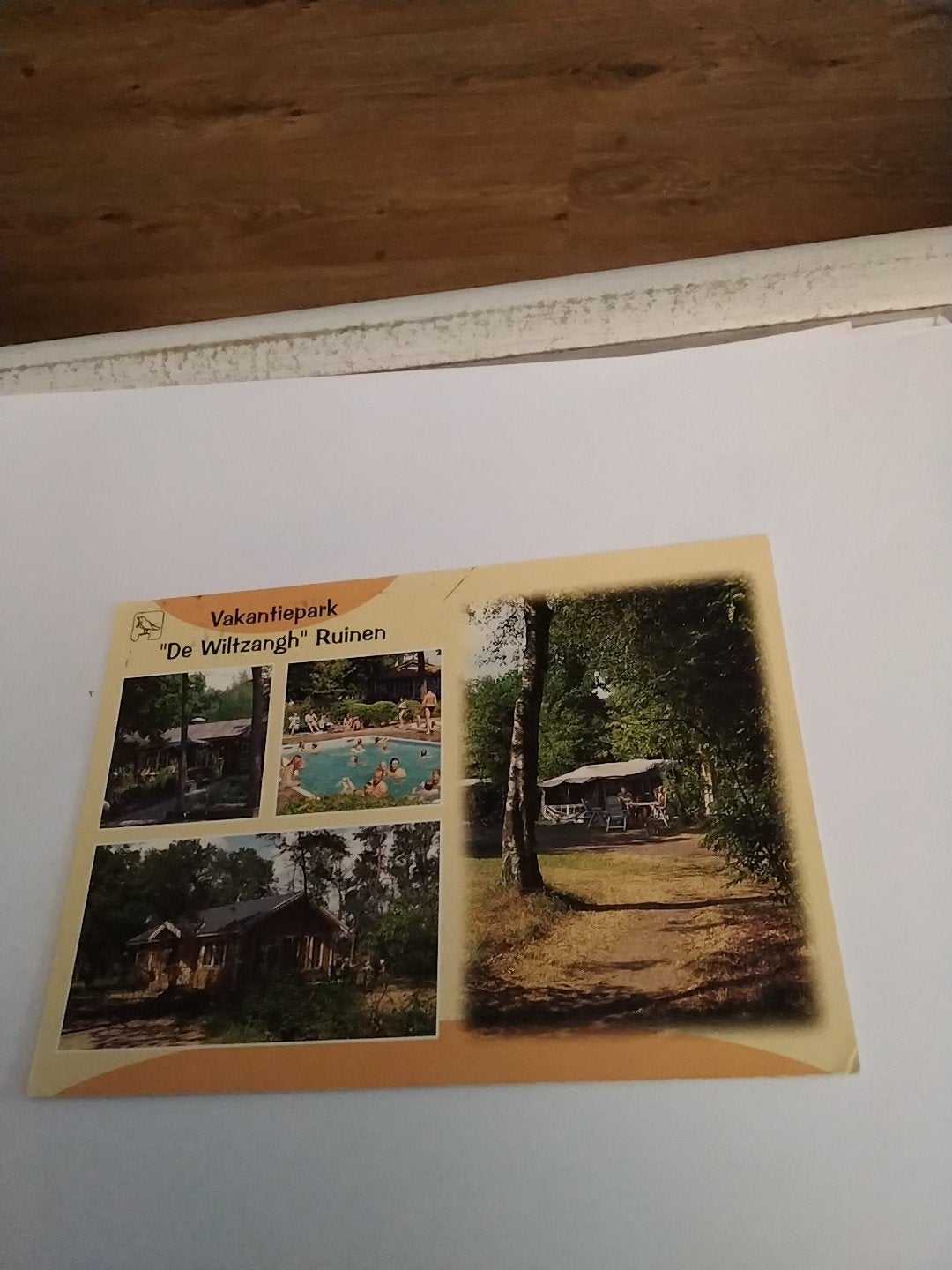 Oude ansichtkaart Vakantiepark De Wiltzangh Ruinen Drenthe, Ophalen of Verzenden