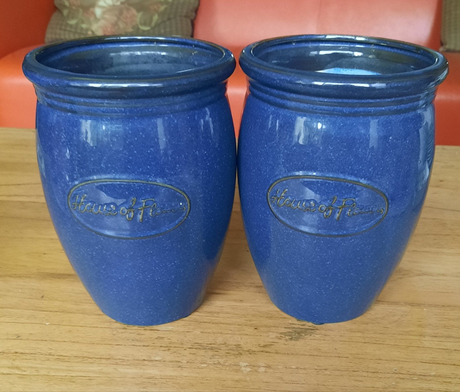 Set van 2 blauwe House of Flowers bloempotten, Ophalen