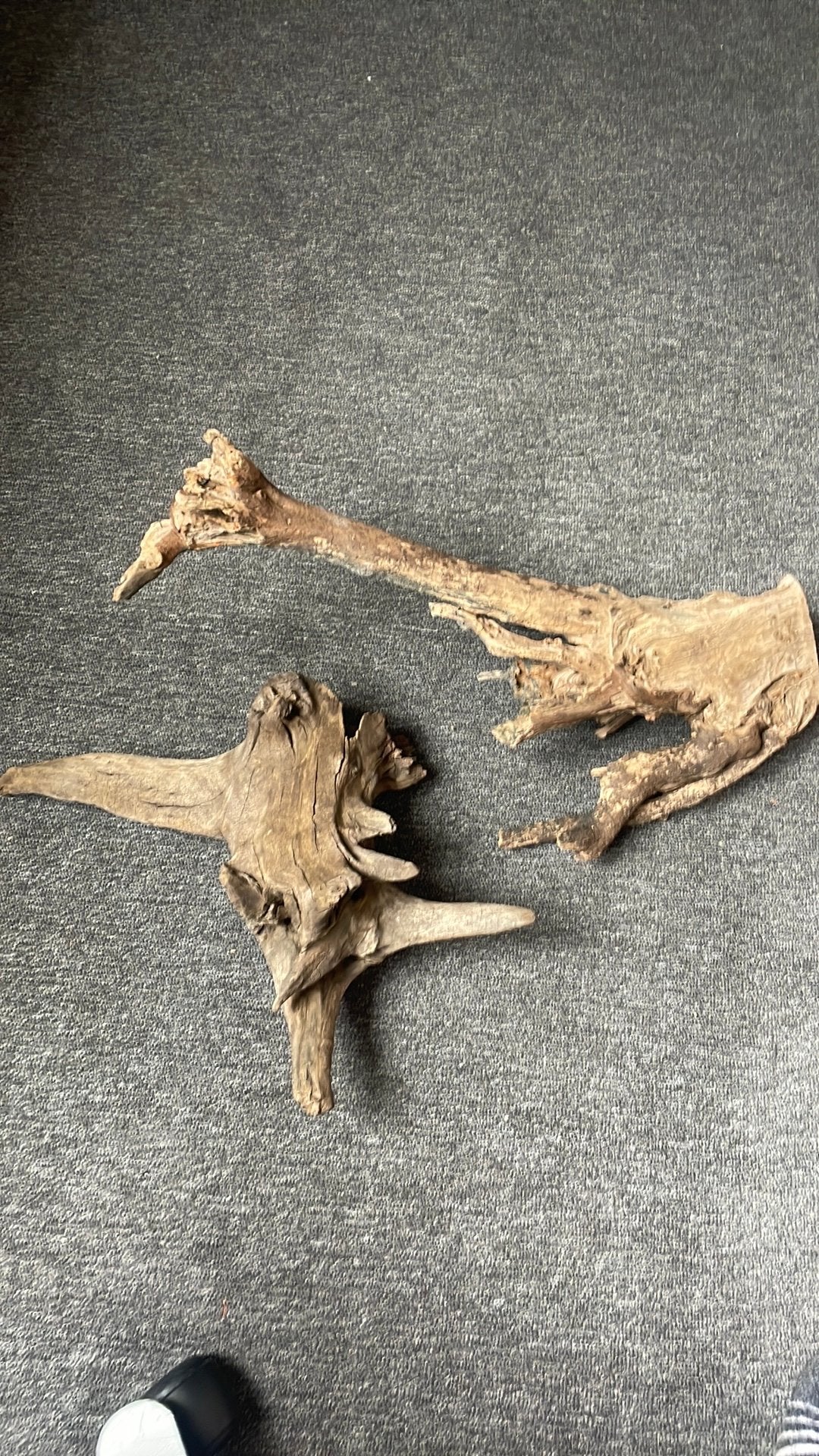 2 mooie stukken aquarium hout, Dieren en Toebehoren, Ophalen of Verzenden, Zo goed als nieuw