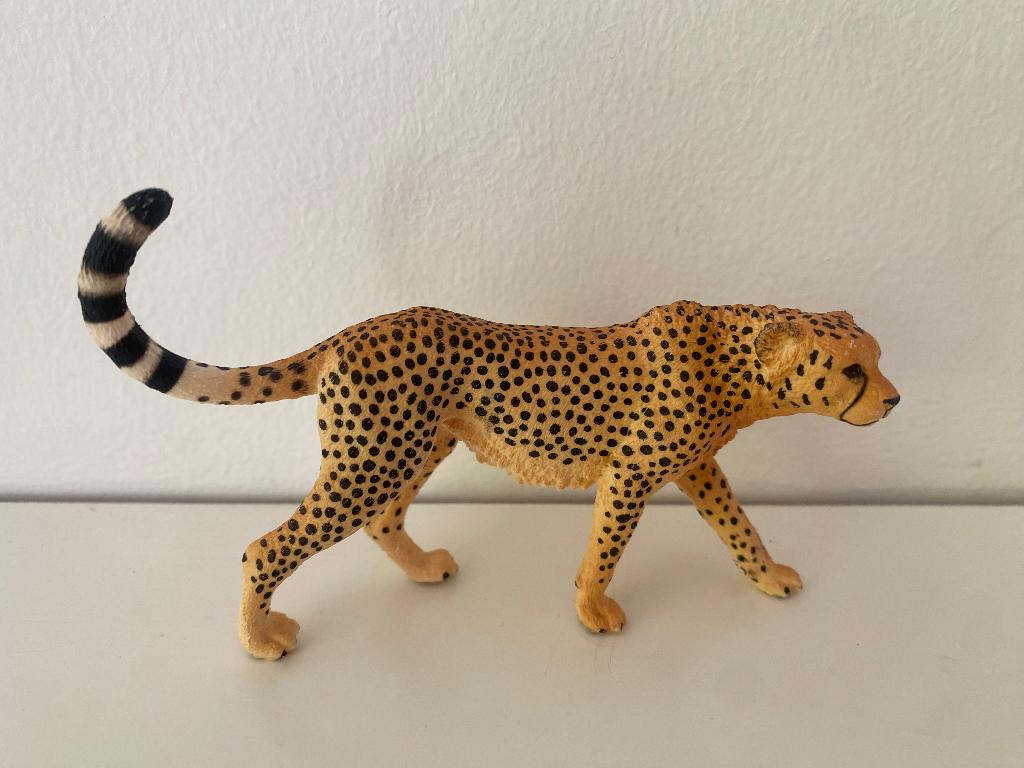Schleich Jachtluipaard Cheetah Vrouwtje | nr 14746, Ophalen of Verzenden, Zo goed als nieuw